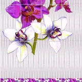 Панели ПВХ Панда Дикая орхидея 310 2700x250мм (компл 4шт)