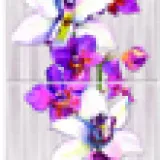 Панели ПВХ Панда Дикая орхидея фон 320 2700x250мм