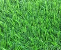 Искусственная трава SALG 2516 (25мм) 2 м 2