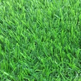 Искусственная трава SALG 2516 25мм