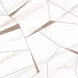 Плитка керамическая Esprit Wall WT9ESR01 AltaCera 249х500