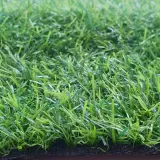 Искусственная трава Prettie Grass 20 мм 2м