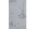 Панель ПВХ Век термоперевод Париж серый 233/3 2700x250 2