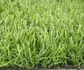 Искусственная трава Prettie Grass 25 мм 2м 2
