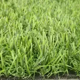 Искусственная трава Prettie Grass 25 мм 2м