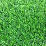 Искусственная трава SALG 2516 (25мм) 2 м