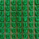 Щетинистое покрытие BT161 Зеленый жемчуг 15х0,9м