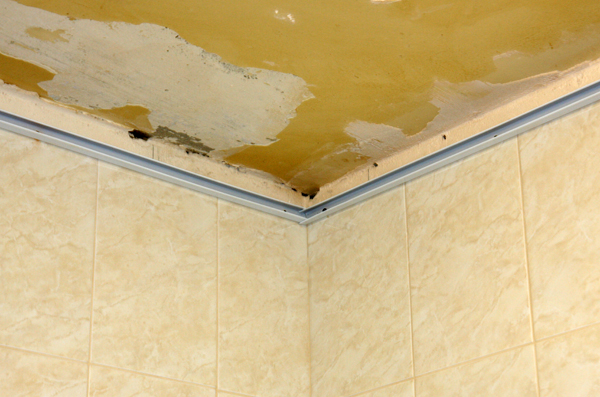 подвесной потолок в ванную реечный своими руками